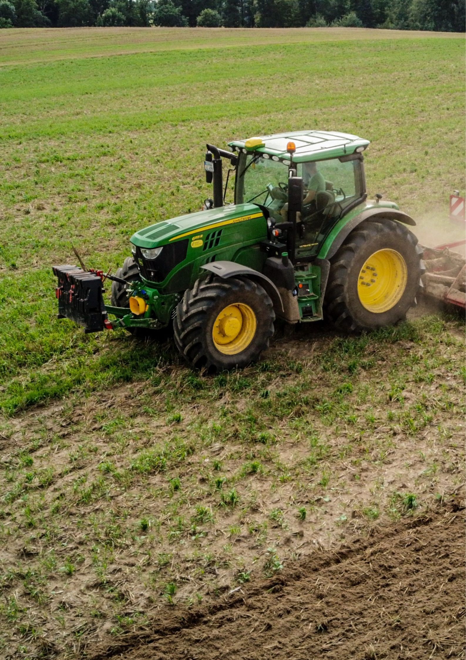 You are currently viewing Intercropping in Punjab: A Low-Cost Path to Soil Recovery and Higher Yields